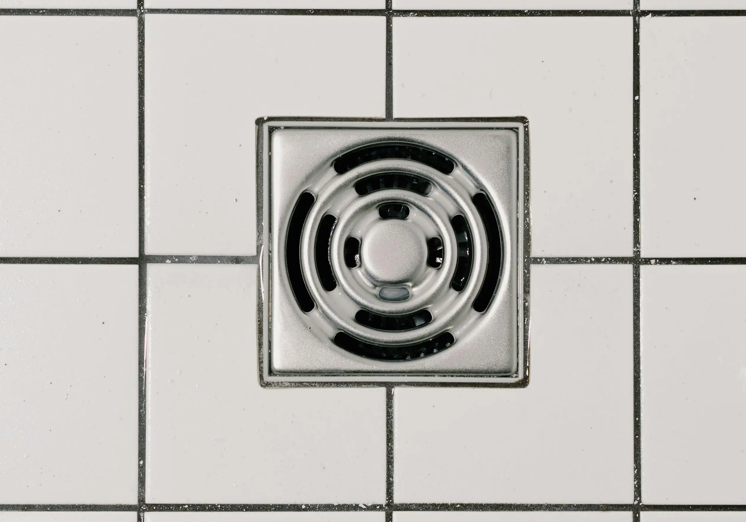 Signs You Need Drain Repair in Everett Before the Holiday Season