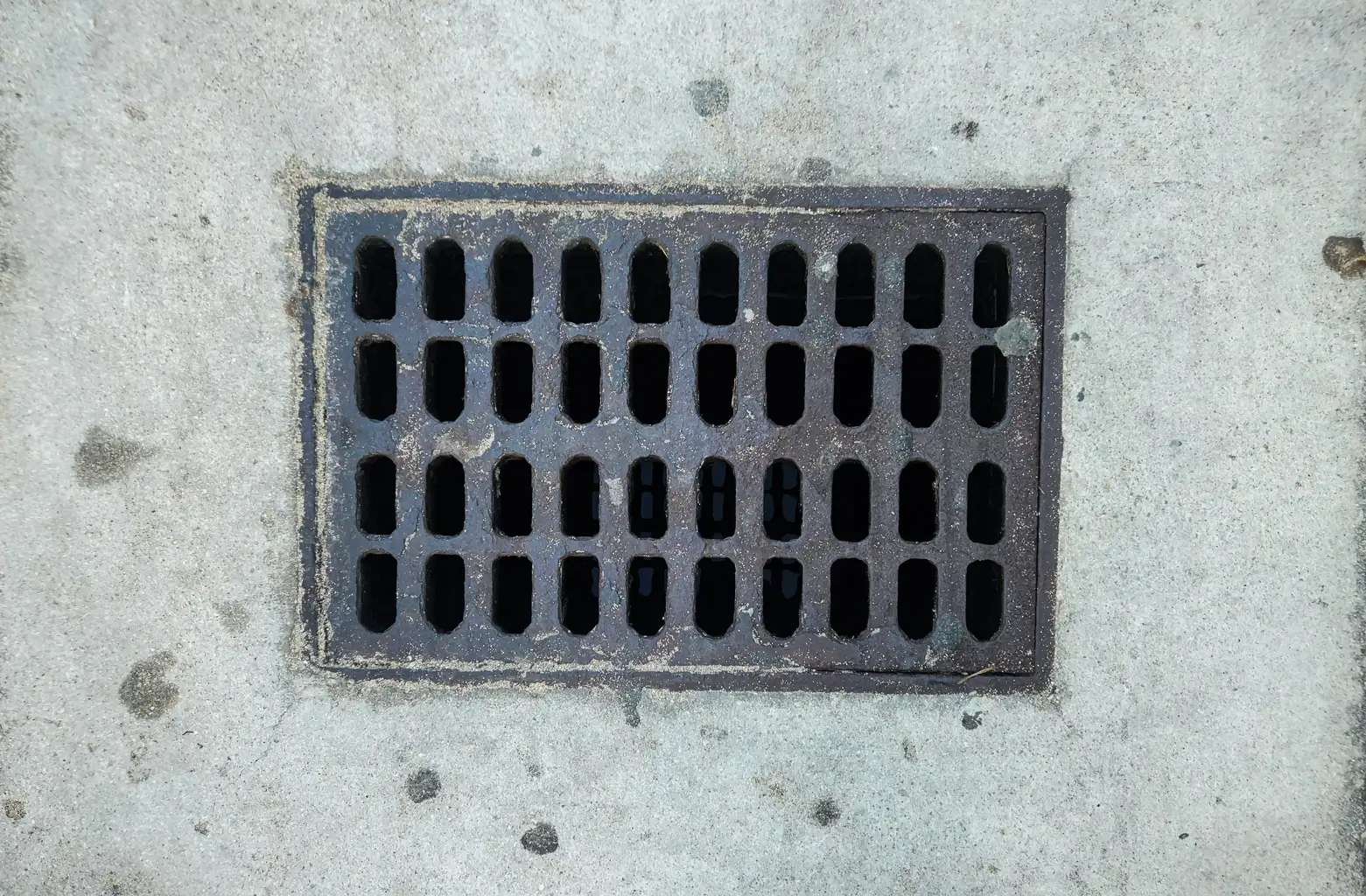 Why Drain Cleaning in Bellevue Is Essential Before the Rainy Season