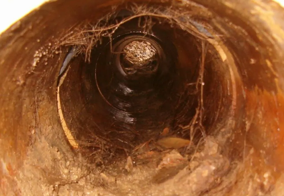 How Pipe Bursting Fixes Everett Sewer Lines Without Digging Trenches