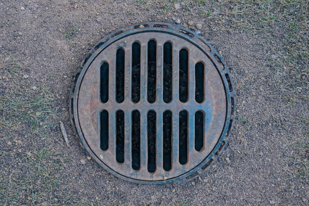 The Bellevue Homeowner’s Guide to Spring Drain Maintenance