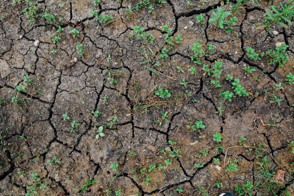 How Dry June Soil Impacts Water Main Repair in Seattle