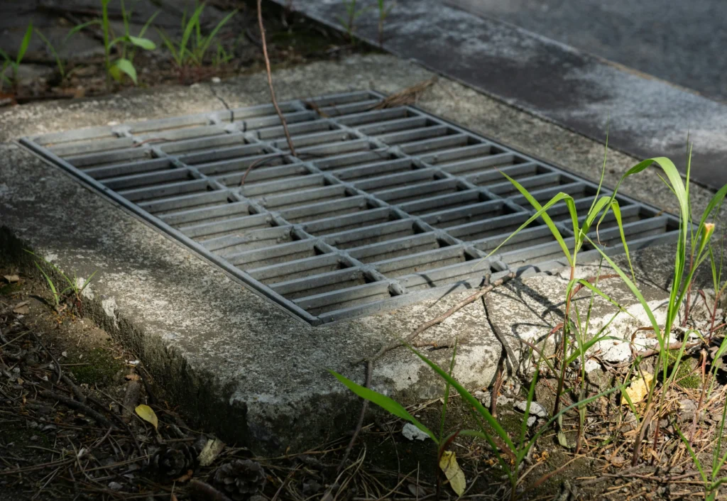 Summer Smells Signs You Need a Main Drain Repair in Tacoma