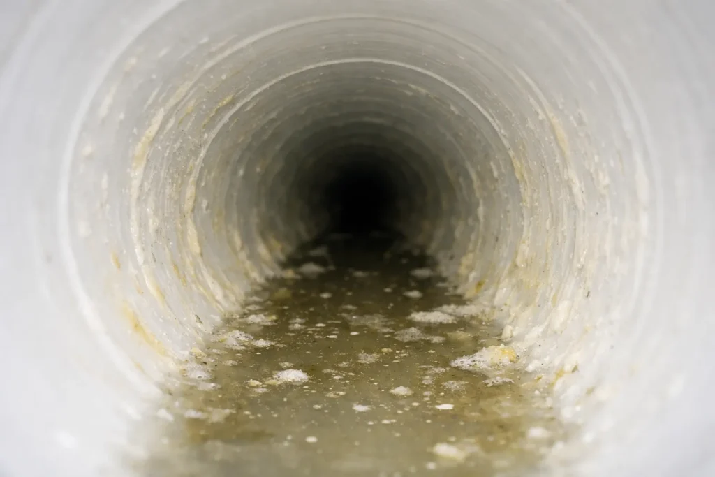 How Summer BBQs Clog Sewer Lines & When to Search for Sewage Services